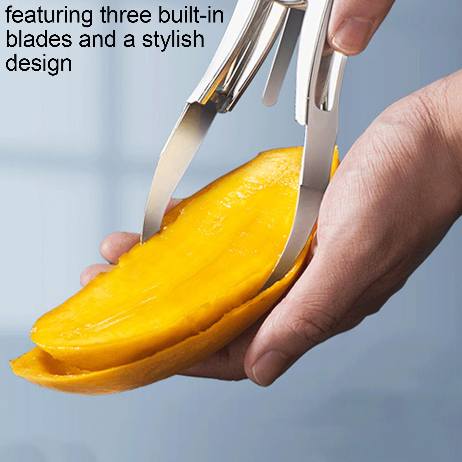 Mango Slicer DIY Ergonomic Rus - Mango Splitter Tool avis et prix